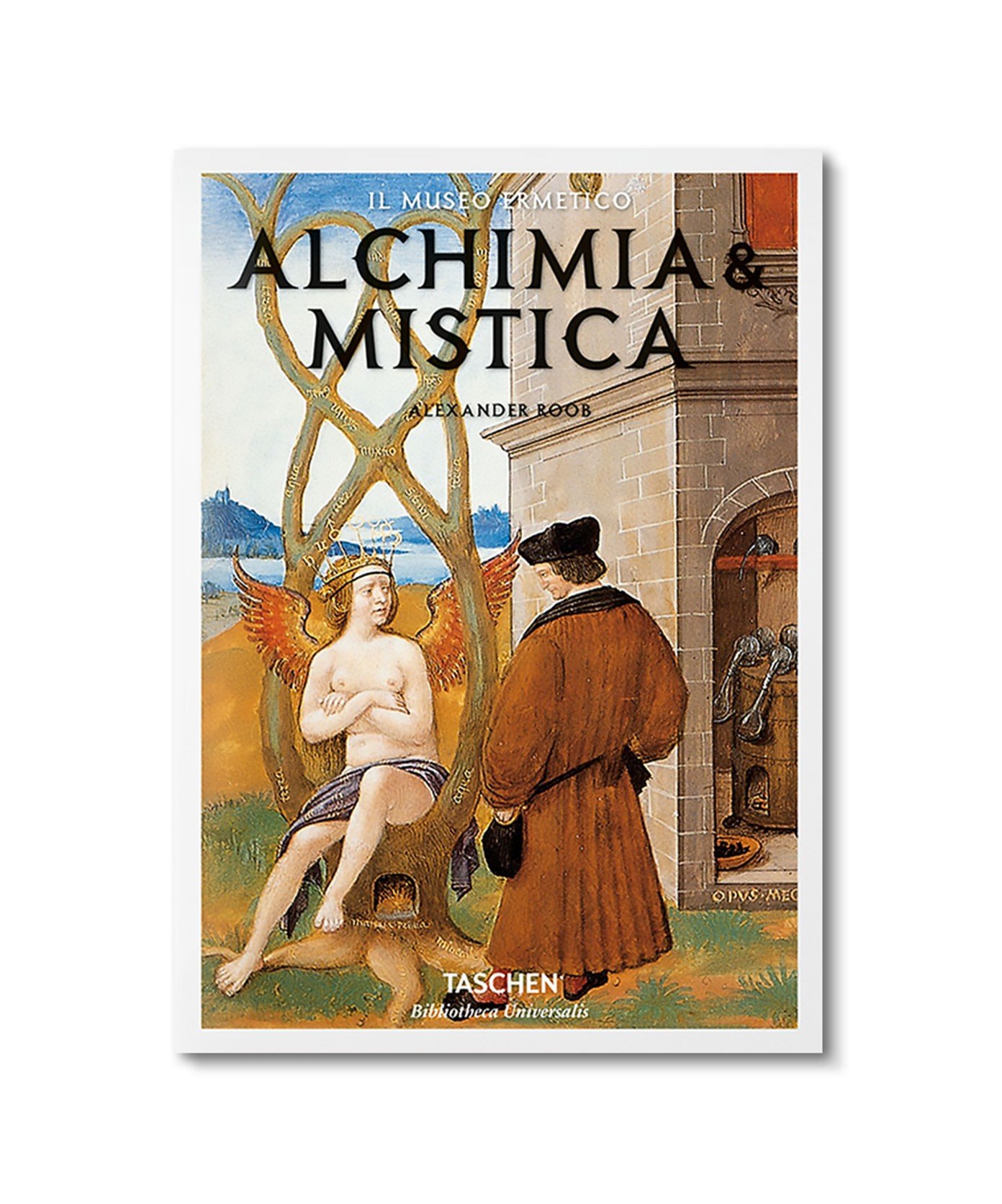 Alchemy & Mysticism (Bibliotheca Universalis)