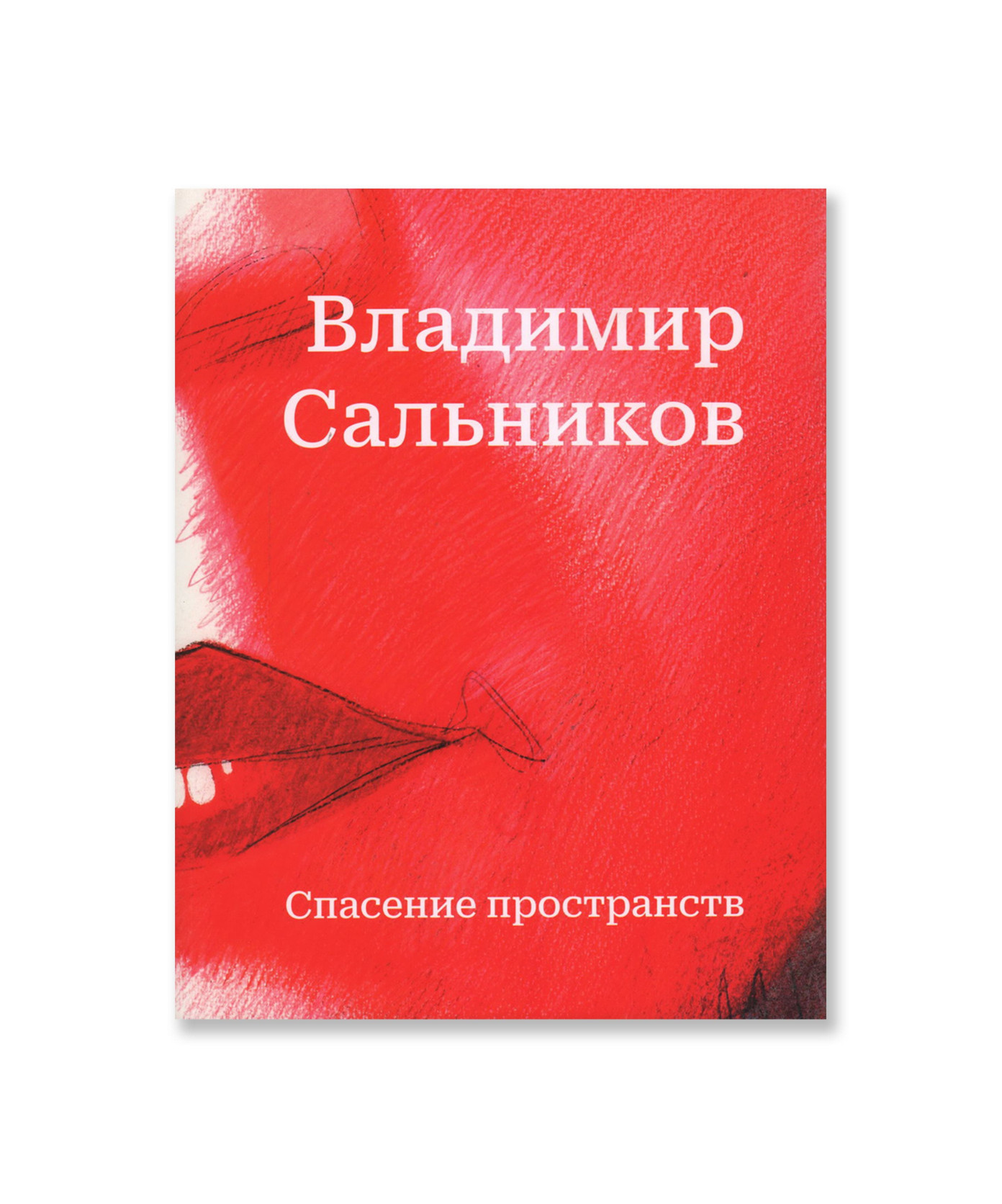 Владимир Сальников. Спасение пространств