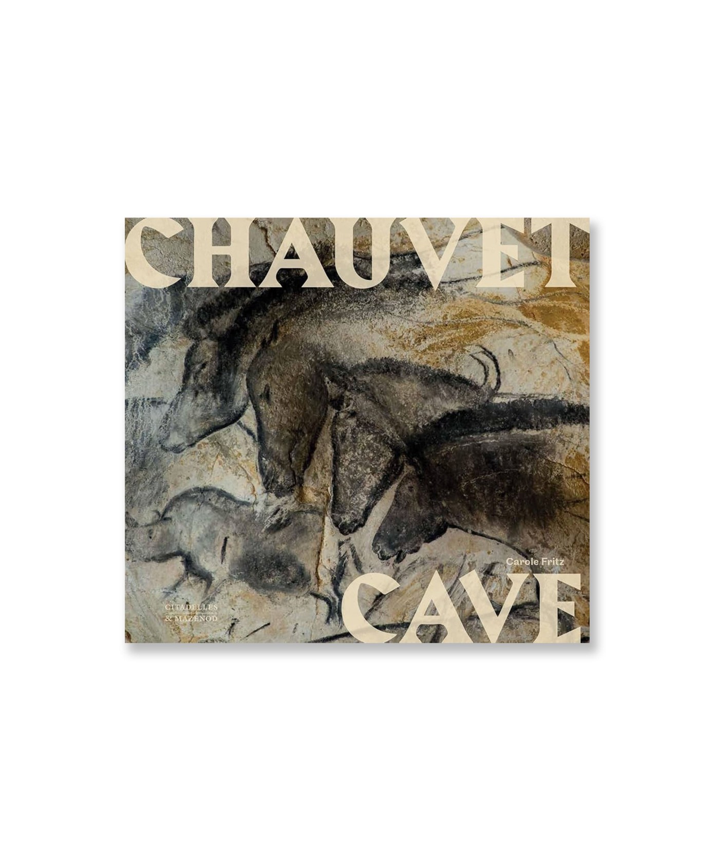 Chauvet Cave: Humanity's First Great Masterpiece
